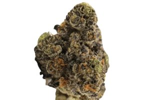 Balancial 22/1 PT Runtz